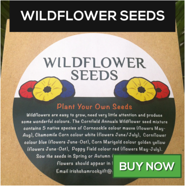 irish wildflower seeds